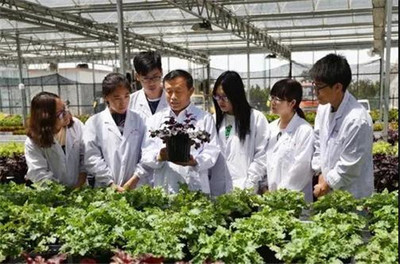 扎根濰坊大地，助力‘三農(nóng)’發(fā)展 濰坊職業(yè)學(xué)院的農(nóng)業(yè)技術(shù)研究實踐