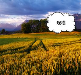 科技賦能農(nóng)業(yè)，智慧引領(lǐng)電商——為農(nóng)產(chǎn)品電商領(lǐng)域中的農(nóng)業(yè)技術(shù)研究者點贊